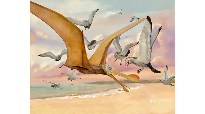 飞入鸟群的辽宁翼龙